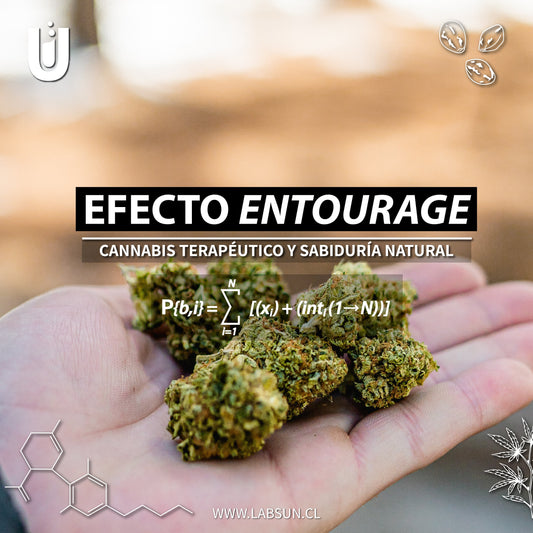 Efecto Entourage y la sabiduría natural.