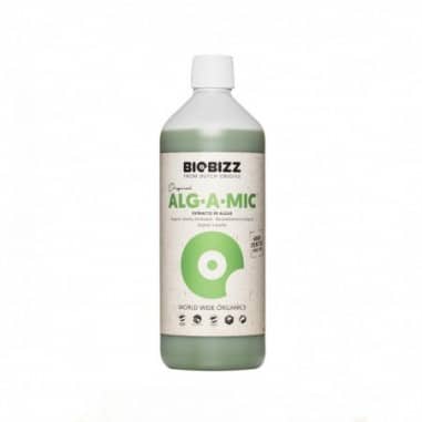 ALGA MIC