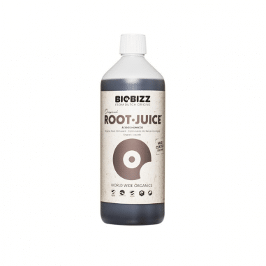 ROOT JUICE